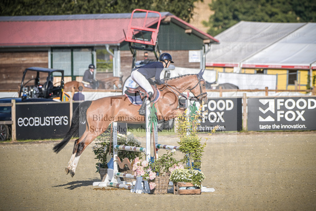 DOS_7684 | Entdecke hochwertige Reitturnierfotos von Foto Oger. Professionell, emotional und authentisch – jetzt Lieblingsmomente im Shop bestellen.Deutschlandweite Turnierfotografie. - Realisiert mit Pictrs.com