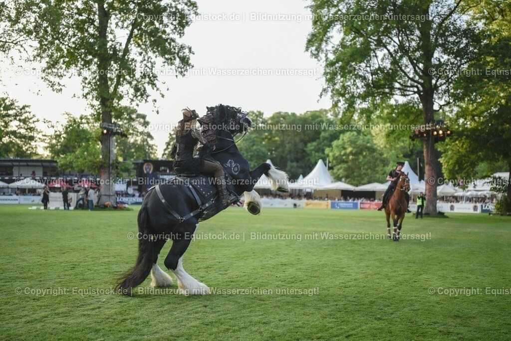 20230526_Pferdenacht_0299 | equistock