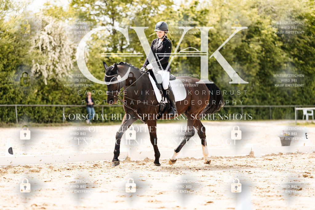 CK902124 | Turnierfotografie Pferdefotografie Trier Rheinland-Pfalz Pferdesport Reitsport Tierfotografie Sportfotografie Pferdevideo Pferdevideografie Equestrianvideography equestrianphotography  - Realisiert mit Pictrs.com
