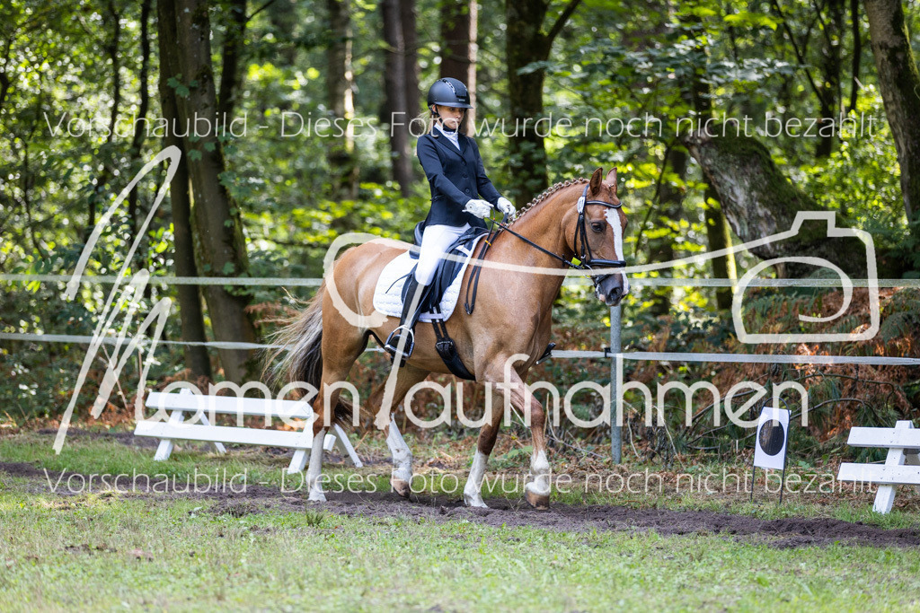 HB-Dressur-WB-121 | MomenTaufnahmen Pferdesportfotos