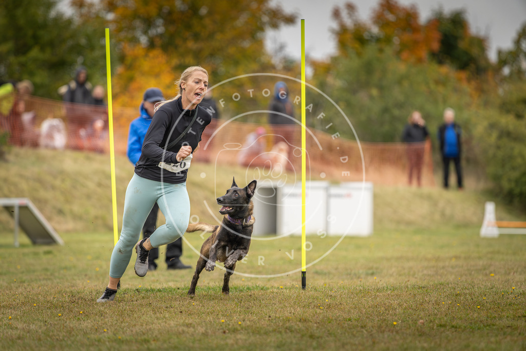 Pfotenfotografie_DV3A3977 | Hundefotografie, Tierfotograf, Pfotenfotografie, Fotoshooting Hund, Hunde Portrait, Hundesport, Hundeportraits, Heideshooting, Hunde, Sportfotograf, Hundefotograf, Turnierhundsport, THS,  - Realisiert mit Pictrs.com