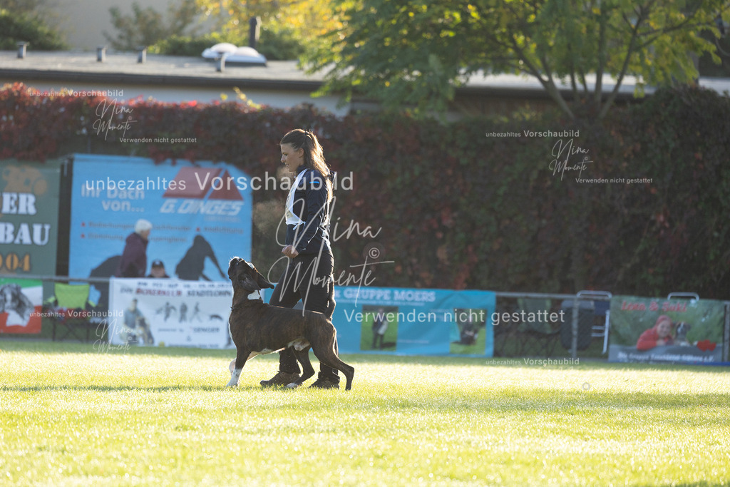 _16A6055 | Einzigartige Fotos von Hunden & Menschen –Actionfotos, Portraits, Vereinsaufnahmen & Paarshootings – authentisch, lebendig & mit Herz.