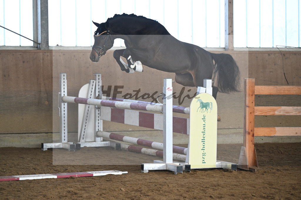 Kat-Nr. 6 Junkbrunnens Nomen est Omen v. Neverland WE_Thomas_49250176 | hf-fotografie - Realisiert mit Pictrs.com