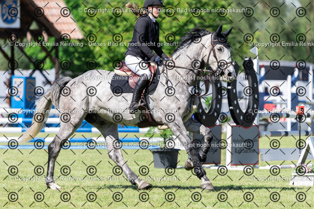 CL5A8260 | Emilia Reinking Fotografie - Realisiert mit Pictrs.com