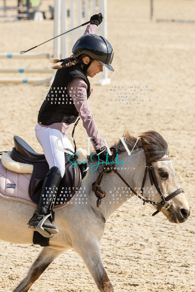 IMG_4450 | s-jay-photography - Realisiert mit Pictrs.com