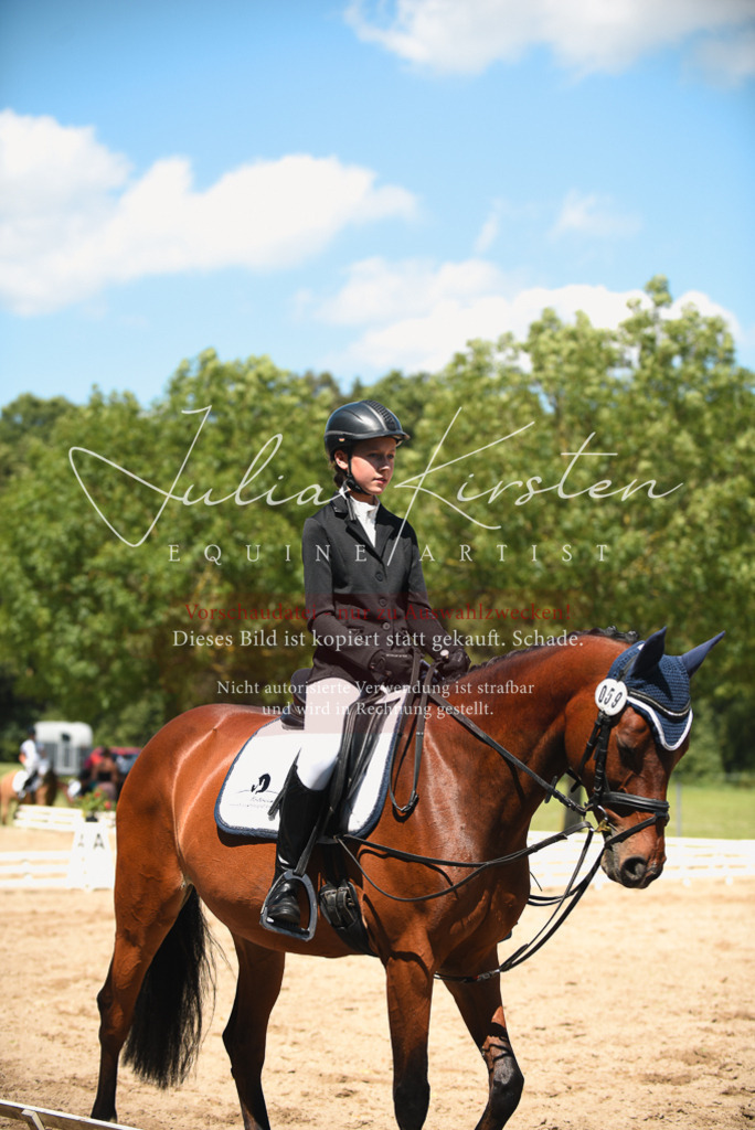 DSC_2234 | Pferde- und Turnierfotografie in Westsachsen. Pferdeportraits, Auftragszeichnungen und intuitive Kunst.