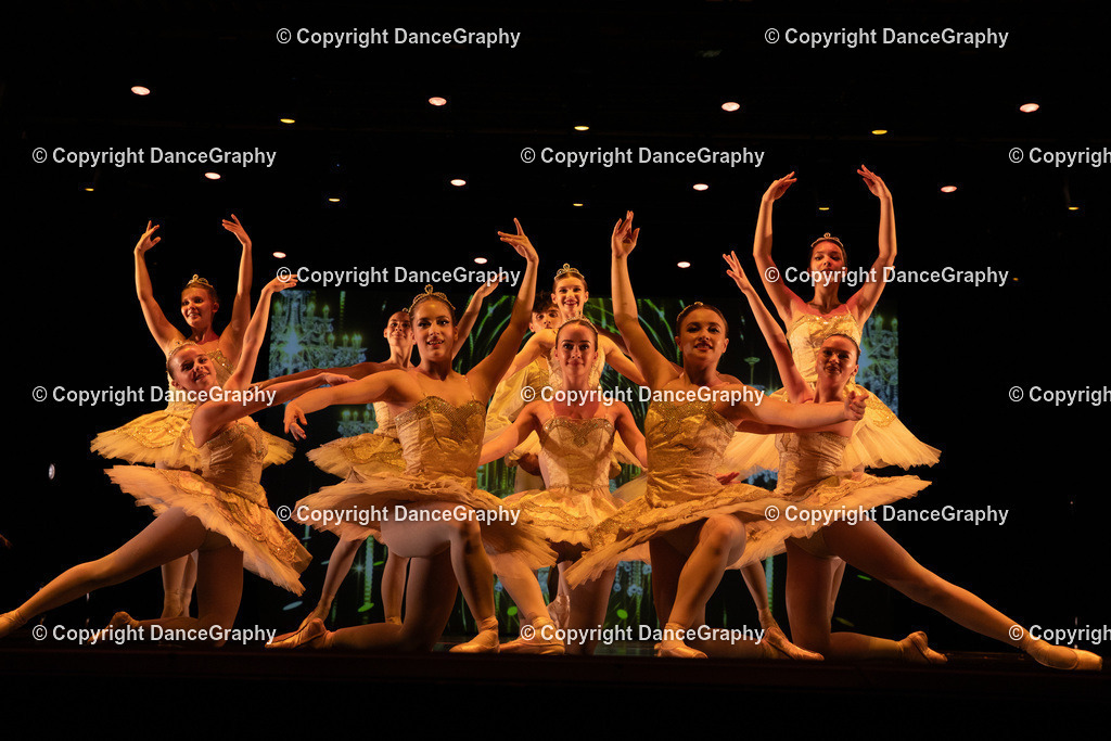 GPHY6517 | DanceGraphy - Realisiert mit Pictrs.com