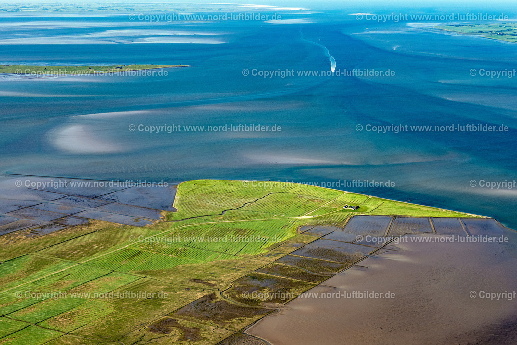 Hamburger_Hallig_ELS_8295100623 | REUßENKöGE 10.06.2023 Halbinsel mit Landzugang und Uferbereich der Hamburger Hallig in Reußenköge im Bundesland Schleswig-Holstein, Deutschland. Weiterführende Informationen bei: Hallig Krog. // Peninsula with land access and shore area of the Hamburger Hallig in Reussenkoege in the state Schleswig-Holstein, Germany. Further information at: Hallig Krog. Foto: Martin Elsen