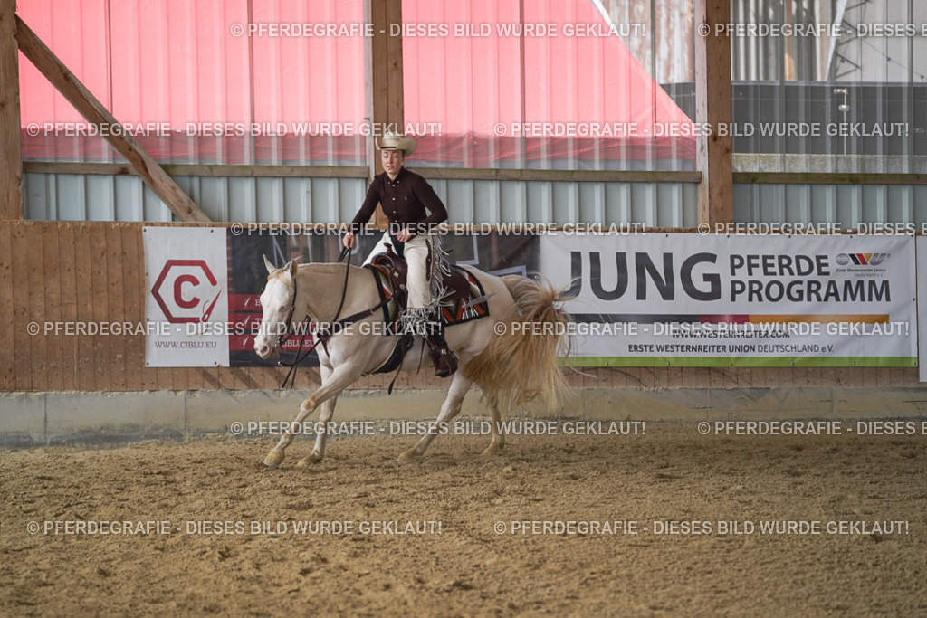 DSC00530 | Pferdegrafie