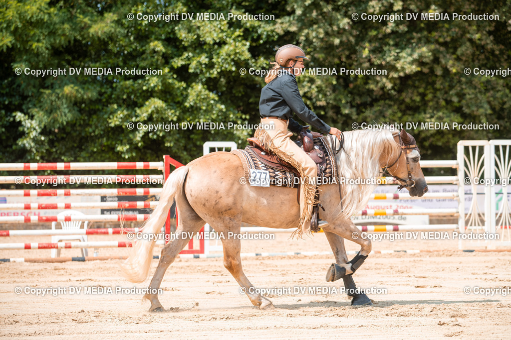 ZS2_8324 | dv-media-shop - Realisiert mit Pictrs.com