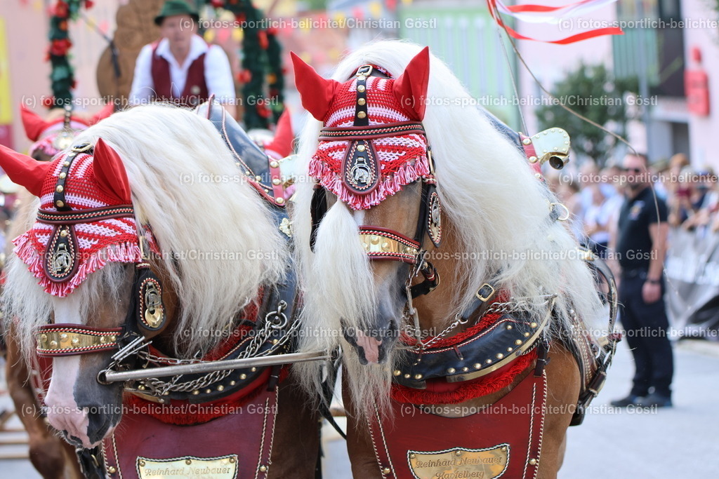 IMG_0622 | fotos-sportlich-belichtet - Realisiert mit Pictrs.com