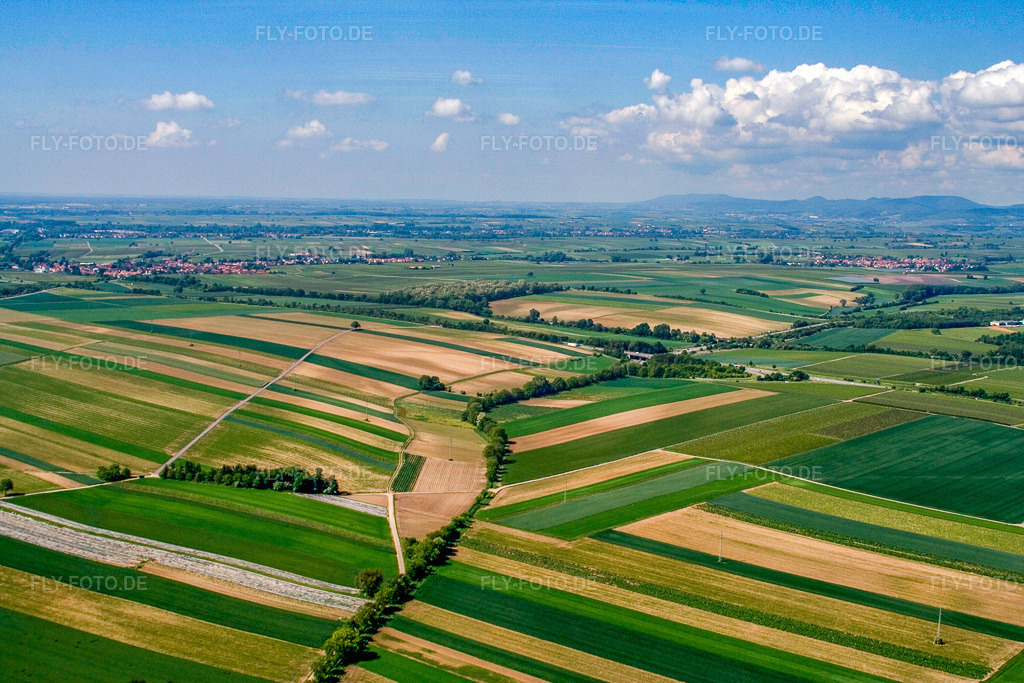 Luftbild: Schleidgraben zur Ausfahrt Landaus Süd der A65 im Ortsteil Mörlheim in Landau im Bundesland Rheinland-Pfalz in Deutschland. Foto: IMG_2247.jpg vom 03.06.2006 durch Werner Riehm/FLY-FOTO.de