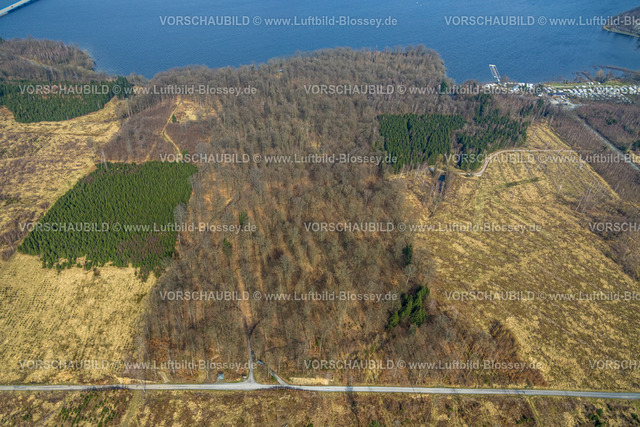 Moehnesee240307723Suedufer-Friedwald | Luftbild Blossey Luftbilder NRW Deutschland