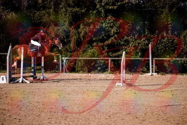 2026_10_03_Siefer-Hof_155823_Z81_78321898 | Professionelle Reitsport-, Turnier- und Eventfotografie von Robert Broda. Galerien mit ausgewählten und bearbeiteten Bildern direkt online ansehen und bestellen.