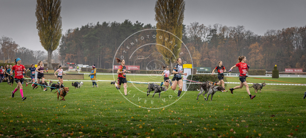 CaniXpix_DV3A8822 | Hundefotografie, Tierfotograf, Pfotenfotografie, Fotoshooting Hund, Hunde Portrait, Hundesport, Hundeportraits, Heideshooting, Hunde, Sportfotograf, Hundefotograf, Turnierhundsport, THS,  - Realisiert mit Pictrs.com
