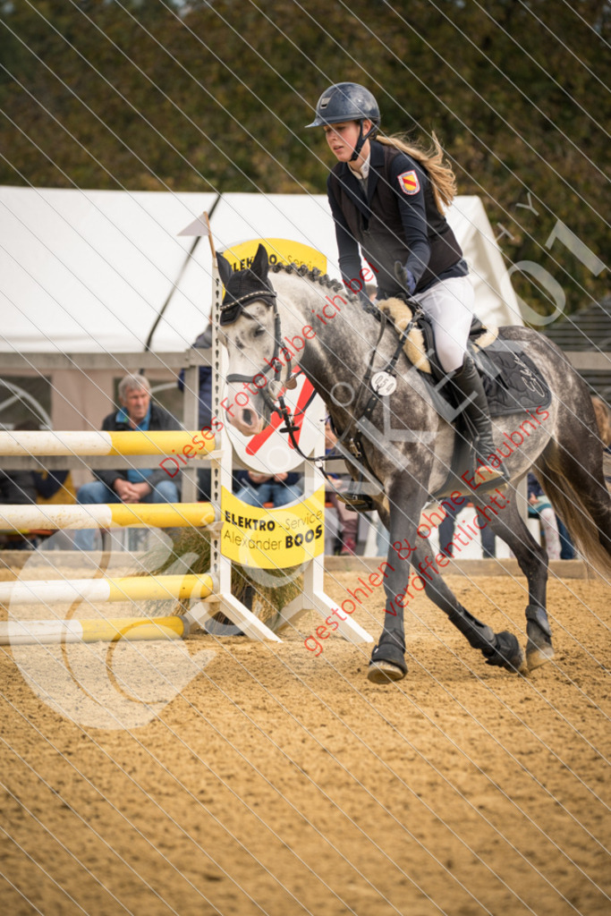 DSC_8112 | Sport-, Event- und Tierfotos in Profiqualität. Einfach auswählen, bestellen und herunterladen. Dein Moment – perfekt festgehalten.
