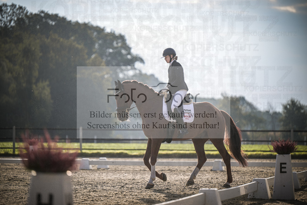 DOS_3328 | Entdecke hochwertige Reitturnierfotos von Foto Oger. Professionell, emotional und authentisch – jetzt Lieblingsmomente im Shop bestellen.Deutschlandweite Turnierfotografie. - Realized with Pictrs.com