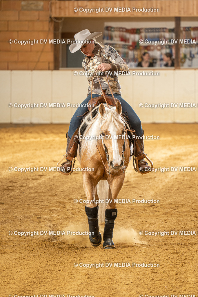 MIT00472 | dv-media-shop - Realisiert mit Pictrs.com