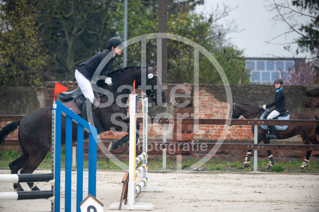 DSC_8399 | sattelsport - Realisiert mit Pictrs.com