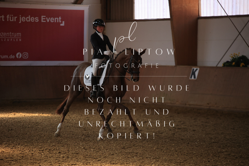 IMGT3015 | pl-fotografie