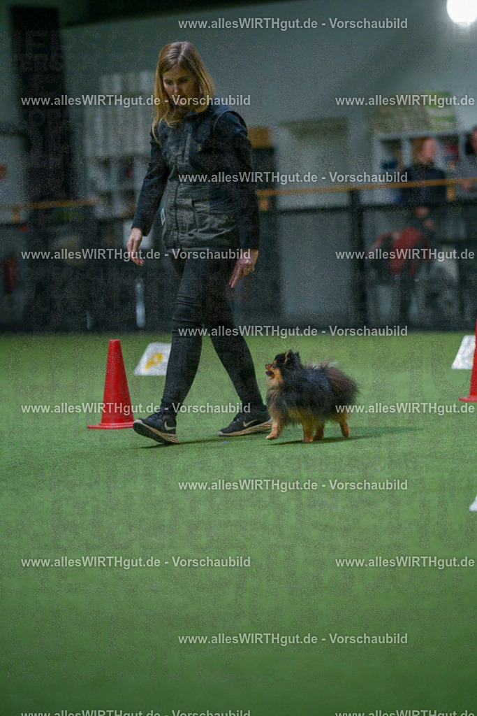 7R503552 | Professionelle Tierfotografie in Mönchengladbach von Daniel Wirth (allesWIRTHgut). Liebevolle & natürliche Bilder von Hunden & Katzen für unvergessliche Erinnerungen.