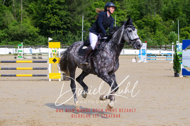 DKP41378 | Turniersportfotografie; Pferdefotografie; Dressurfotografie