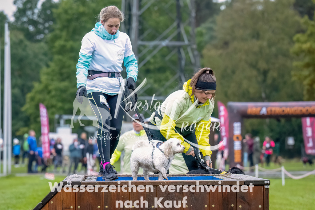 1026--9 | kk-dogfotos