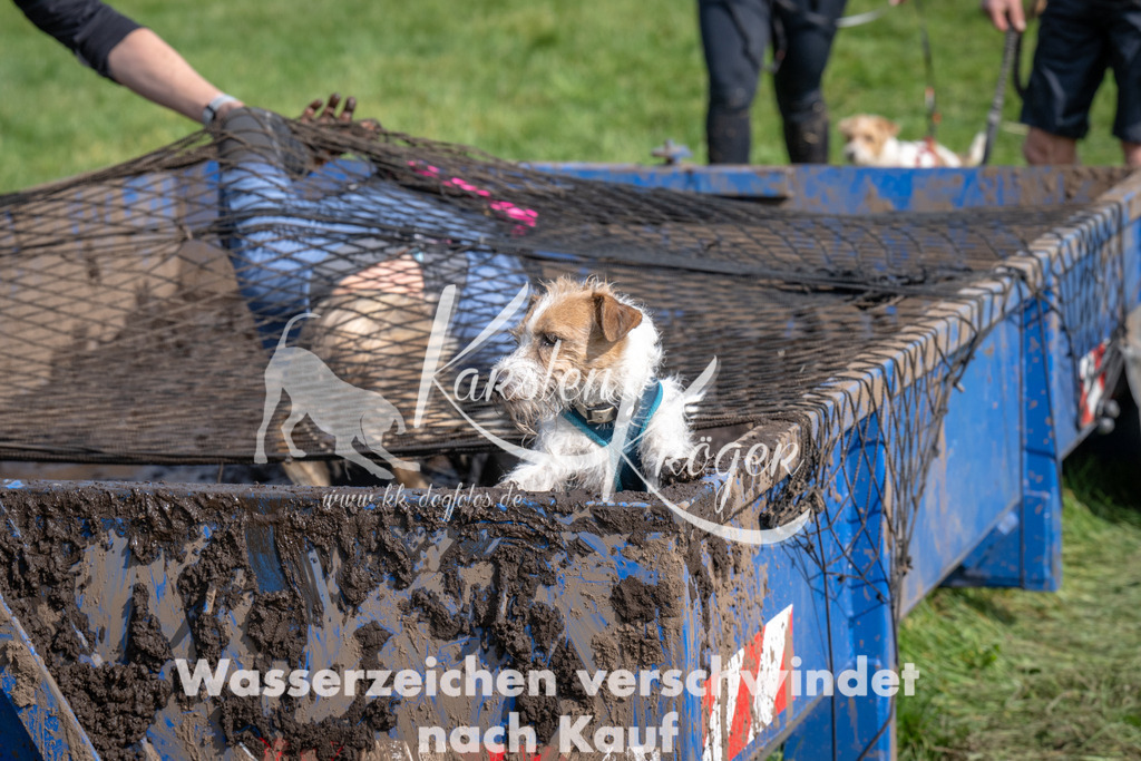 1414_ZZ91545 | kk-dogfotos