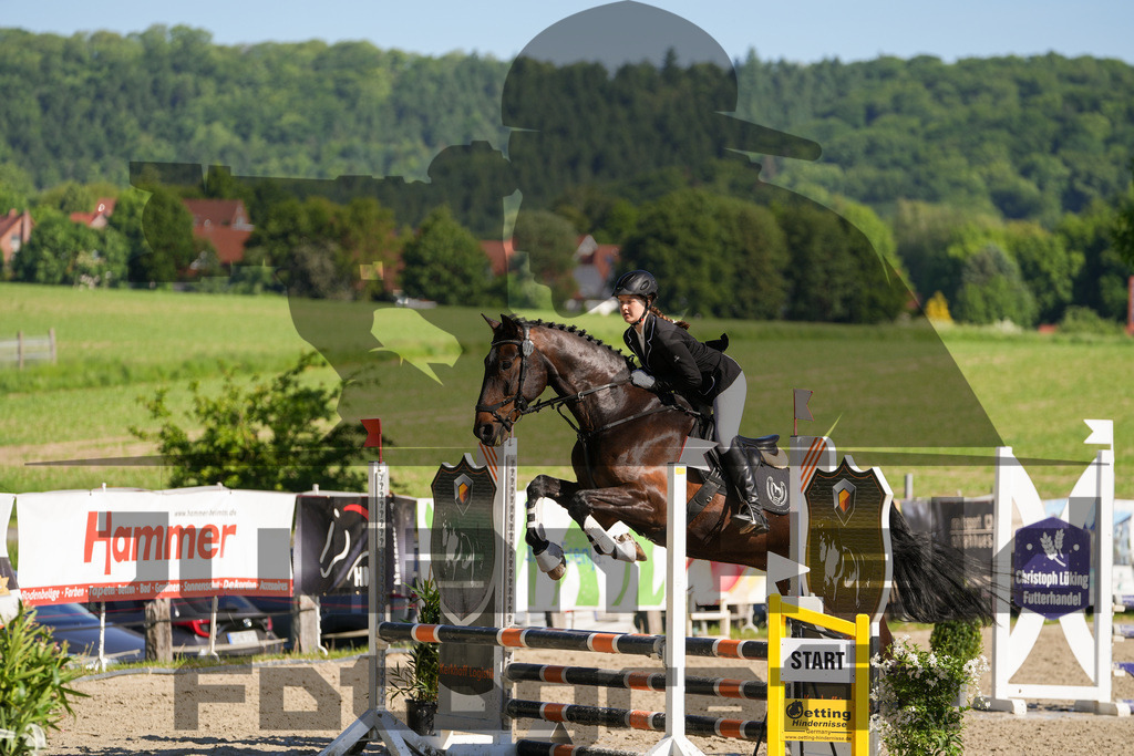 DSC02048 | Julian Held Fotografie - Realisiert mit Pictrs.com