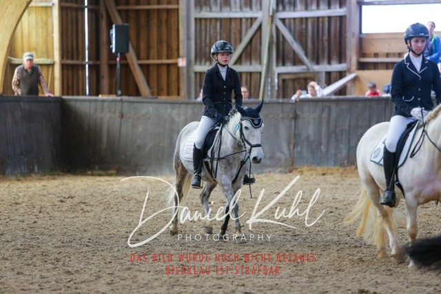 IMG_1147 | Turniersportfotografie; Pferdefotografie; Dressurfotografie