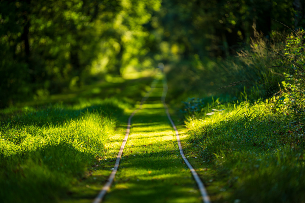 2025_08_23_SH-HIMMELMOOR_MCP1709 | Hochwertig gedruckte Fotografien für die Wand, als Kalender und zum Verschenken. Hamburg & Norddeutschland und überall wo ich mit der Kamera unterwegs war.
