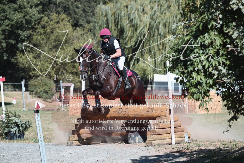 DSC_8560 | Pferde- und Turnierfotografie in Westsachsen. Pferdeportraits, Auftragszeichnungen und intuitive Kunst.
