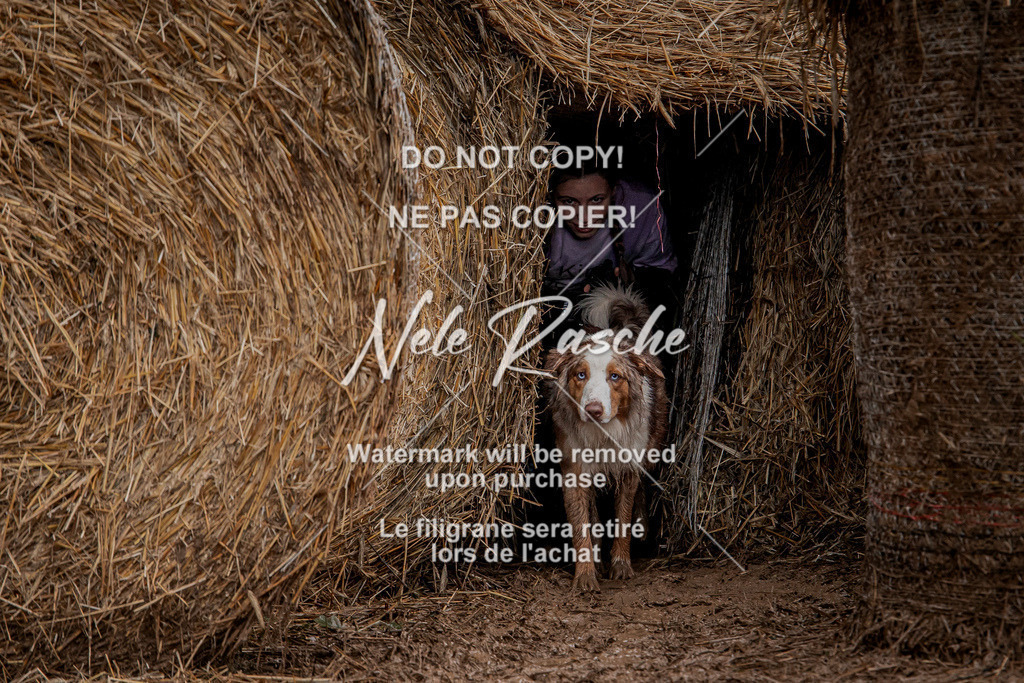 nelerasche_Hunsrück_So12-13_362 | nelerasche