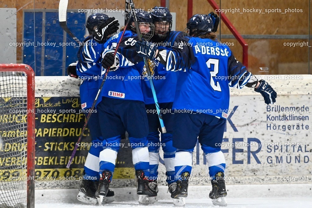 BST_3142 | hockey sports photos, Pressefotos, Sportfotos, hockey247, win 2day icehockeyleague, Handball Austria, Floorball Austria, ÖVV, Kärntner Eishockeyverband, KEHV, KFV, Kärntner Fussballverband, Österreichischer Volleyballverband, Alps Hockey League, ÖFB, 