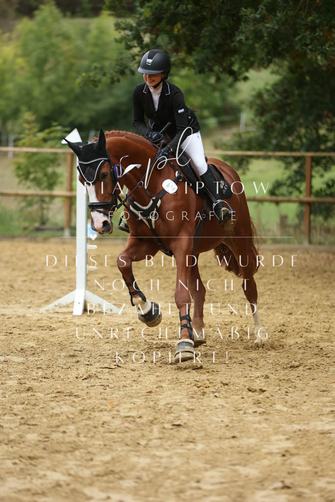 IMGM1812 | pl-fotografie