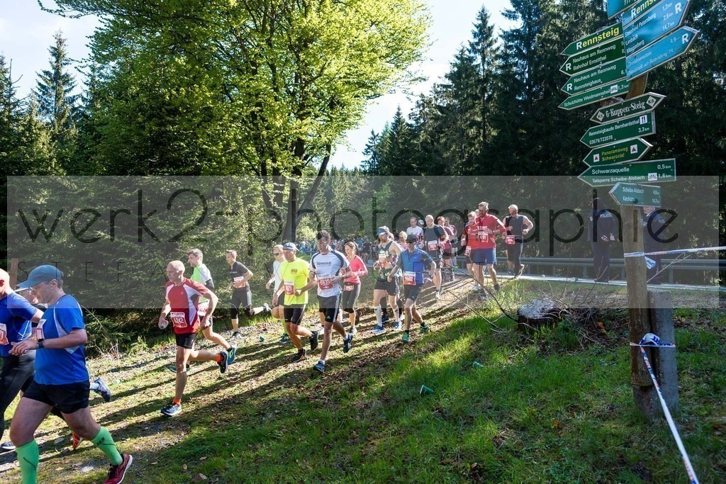 Rennsteiglauf 2019 | Marathon Neuhaus/Rwg. - Schmiedefeld am 18. Mai 2019