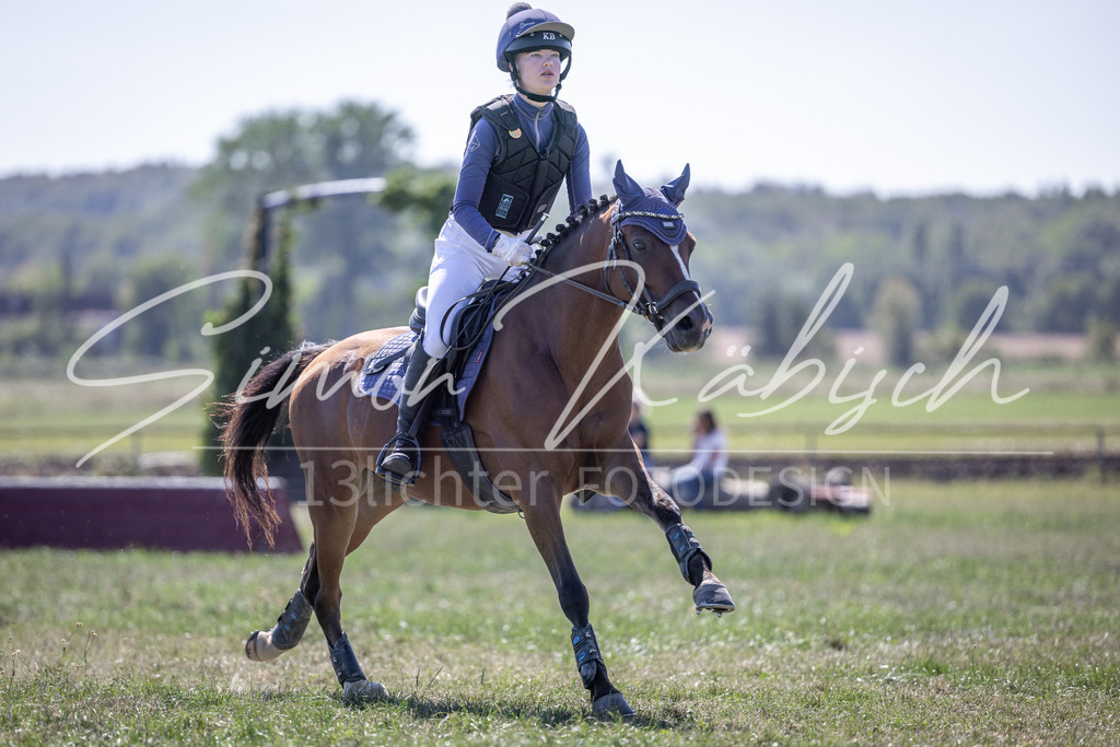 20260906-_3LI3737 | Tierfotografie Pferde, Hunde, Katzen, Haustiere.
Turnierfotografie Reitturniere, Reiten, Springreiten, Dressur in Hanau, dem Main-Kinzig-Kreis und dem Rhein-Main- Gebiet um Frankfurt