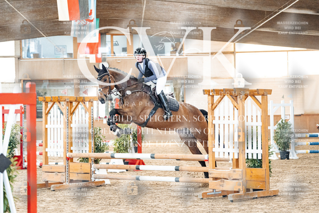 CK903700 | Turnierfotografie Pferdefotografie Trier Rheinland-Pfalz Pferdesport Reitsport Tierfotografie Sportfotografie Pferdevideo Pferdevideografie Equestrianvideography equestrianphotography  - Realisiert mit Pictrs.com