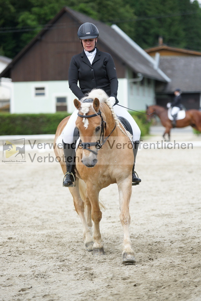 DSC05442 | equestrian-live-com
