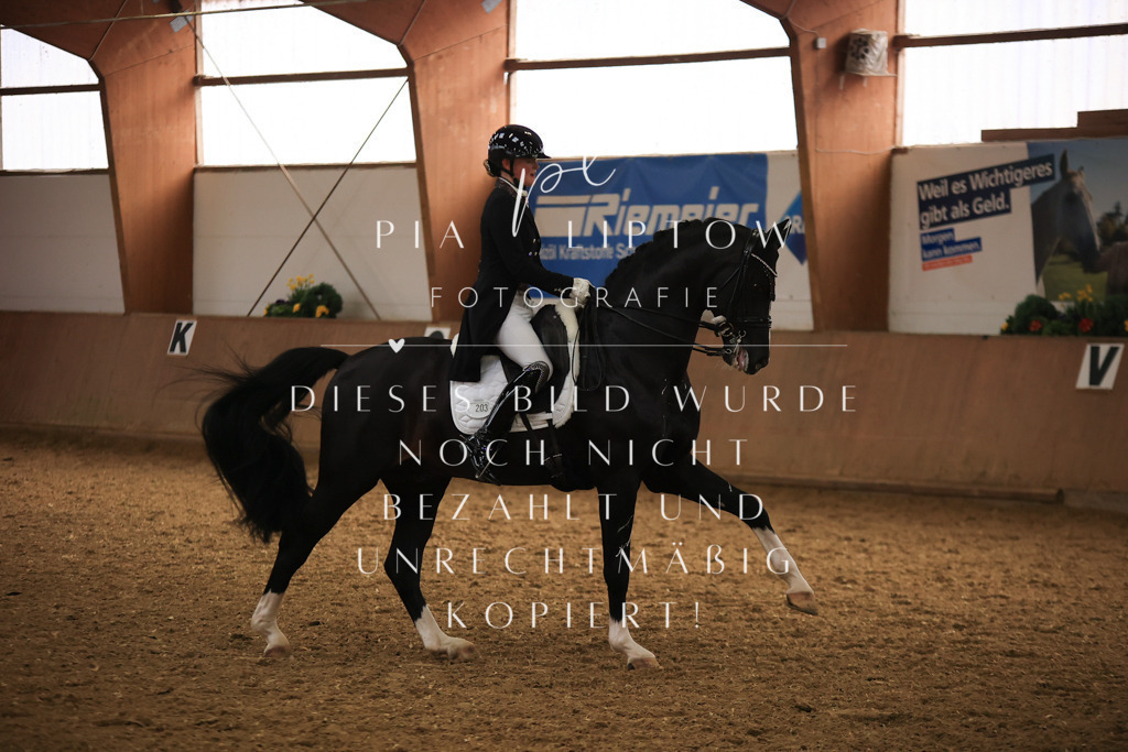 IMGT5551 | pl-fotografie