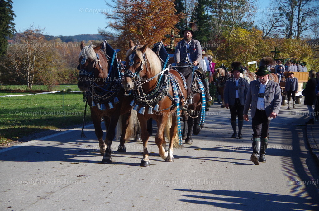 IMGP8215 | fotografiert von Axel PollmannLeonhardi Wallfahrt Benediktbeuern und Murnau, Fronleichnam, Fasching, Landschaft im Loisachtal und Benediktbeuern  - Realisiert mit Pictrs.com