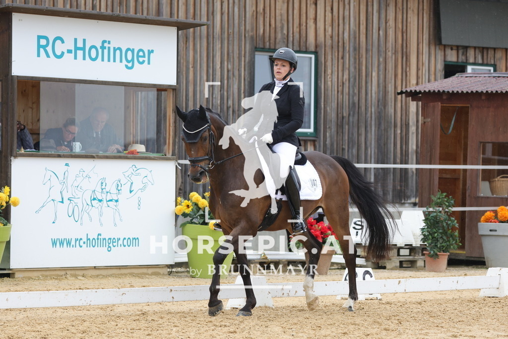 0P6A0572 | Willkommen bei Brunnmayr - Design & Fotografie – Ihrem Spezialisten für Reitturniere und Pferdeveranstaltungen in Oberösterreich, Salzburg und Bayern! Seit über 17 Jahren sind wir leidenschaftlich dabei.