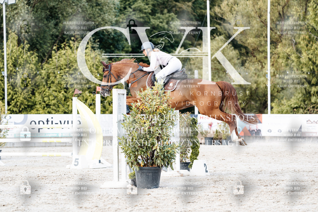 CK903937 | Turnierfotografie Pferdefotografie Trier Rheinland-Pfalz Pferdesport Reitsport Tierfotografie Sportfotografie Pferdevideo Pferdevideografie Equestrianvideography equestrianphotography  - Realisiert mit Pictrs.com