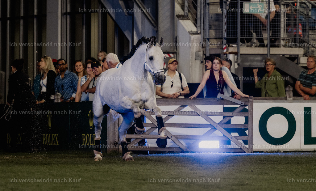 TSCHIO26_Pferd-Sinfonie_StoibphotographyTSCHIO26_Pferd-Sinfonie_Stoibphotography_AM11671.CR3.jpg | working equitationturnier fotograf videograf stoibphotography marixx film working equitation deutschland reitsport turnierfotografie eventfotografie equestrian events