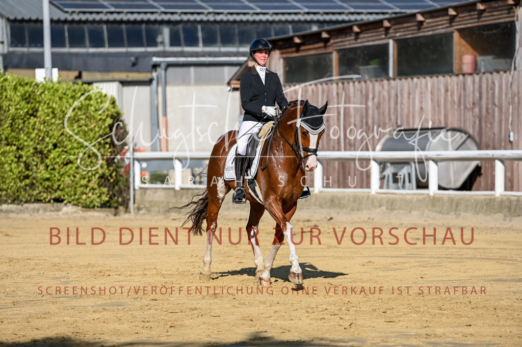 Schugtsche-Aluta25-51.Dressurpferdeprf.M-69 | Schugtsche Fotografie - Realisiert mit Pictrs.com