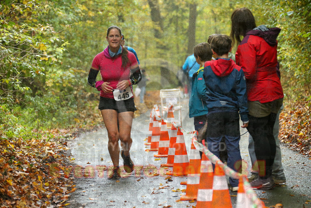 241027_1359_EX1_7120 | Sportfotografie im Rhein-Sieg Kreis, Köln, Bonn, NRW, Rheinland Pfalz, Hessen, etc. Unser Tätigkeitsfeld umfasst den Laufsport vom Volkslauf über den Marathon, Duathlon, Triathon bis zum Ultralauf wie Kölnpfad Ultra oder Schindertrail.