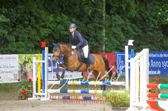 DKP44702 | Turniersportfotografie; Pferdefotografie; Dressurfotografie