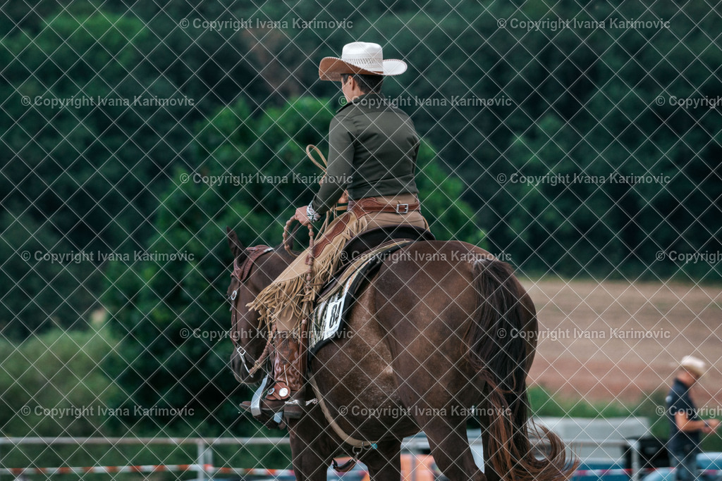 DSC08571 | ikphotography - Realisiert mit Pictrs.com