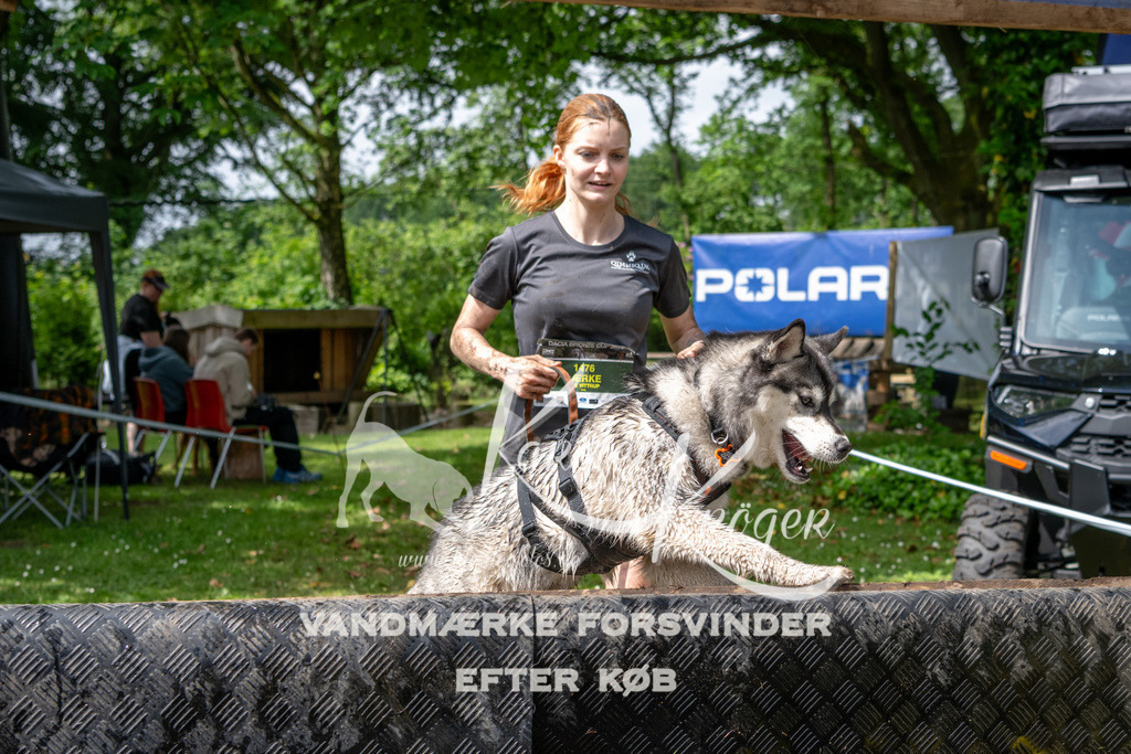 1043_ZZ91805 | kk-dogfotos