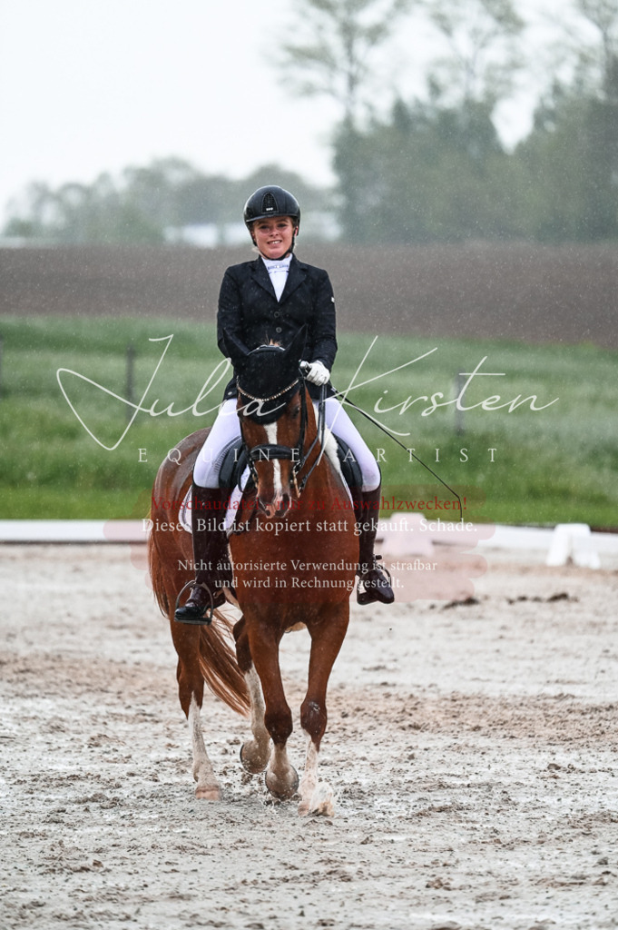 DSC_4611 | Pferde- und Turnierfotografie in Westsachsen. Pferdeportraits, Auftragszeichnungen und intuitive Kunst.